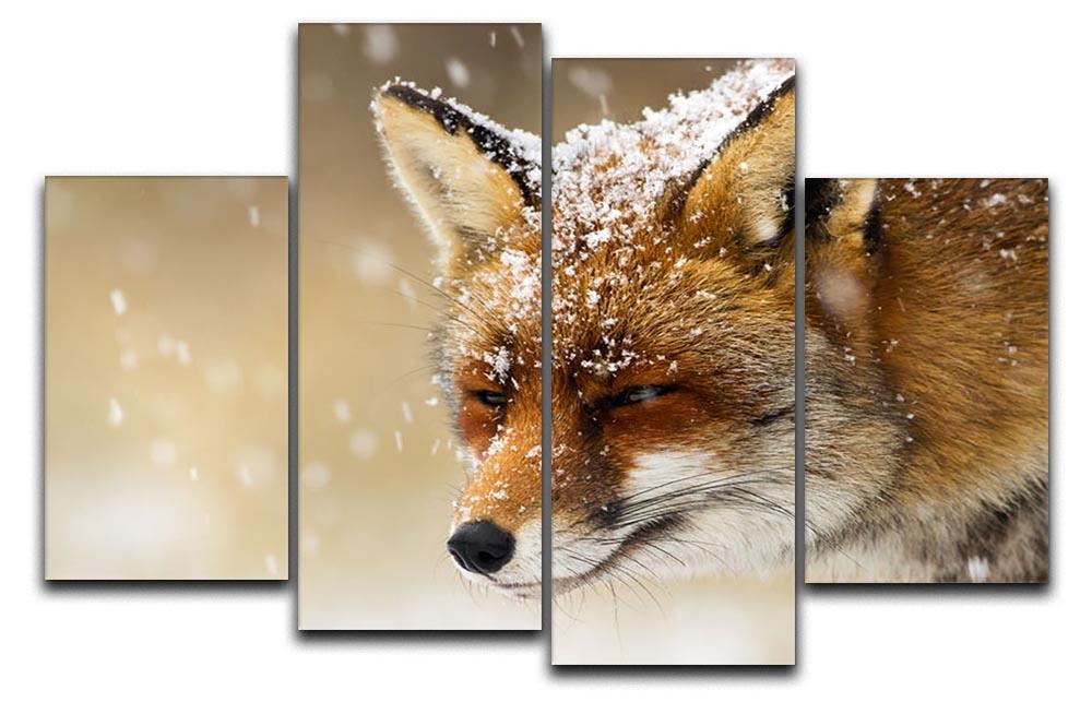 Red fox winter portrait 4 Split Panel Canvas - Canvas Art Rocks - 1