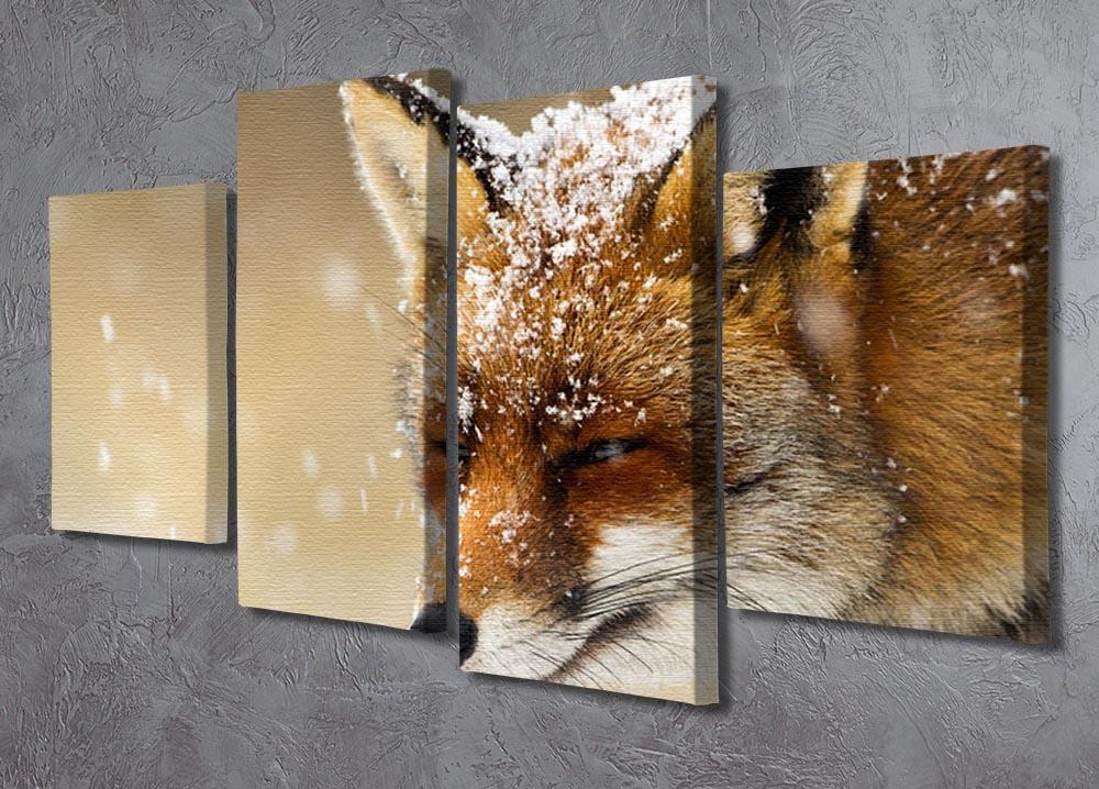 Red fox winter portrait 4 Split Panel Canvas - Canvas Art Rocks - 2