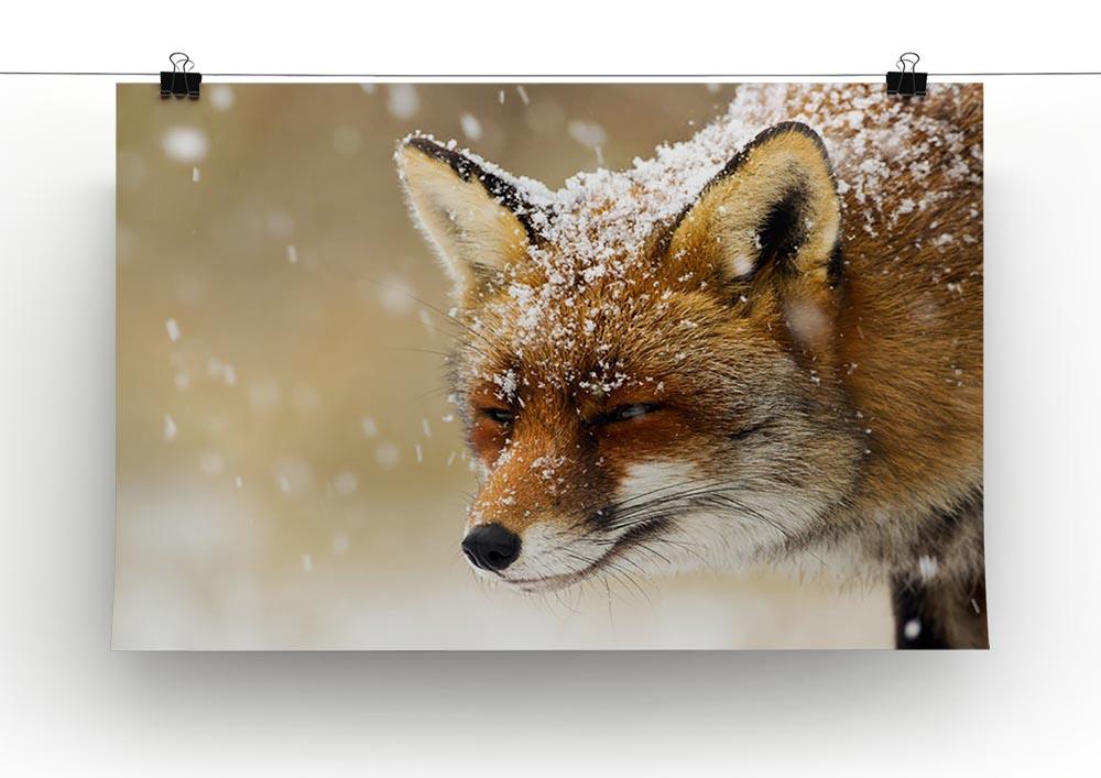 Red fox winter portrait Canvas Print or Poster - Canvas Art Rocks - 2