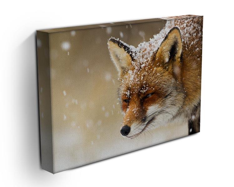 Red fox winter portrait Canvas Print or Poster - Canvas Art Rocks - 3