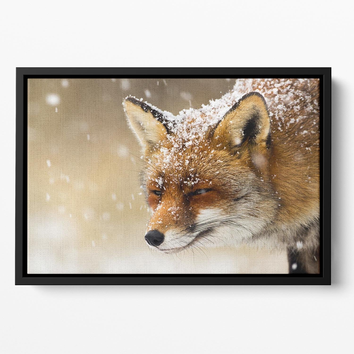 Red fox winter portrait Floating Framed Canvas - Canvas Art Rocks - 2