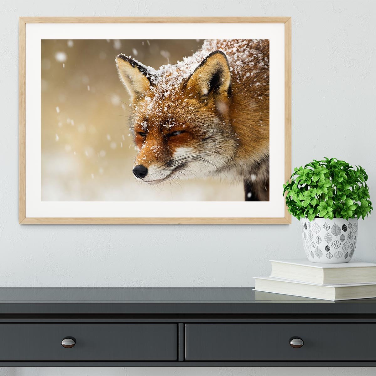 Red fox winter portrait Framed Print - Canvas Art Rocks - 3