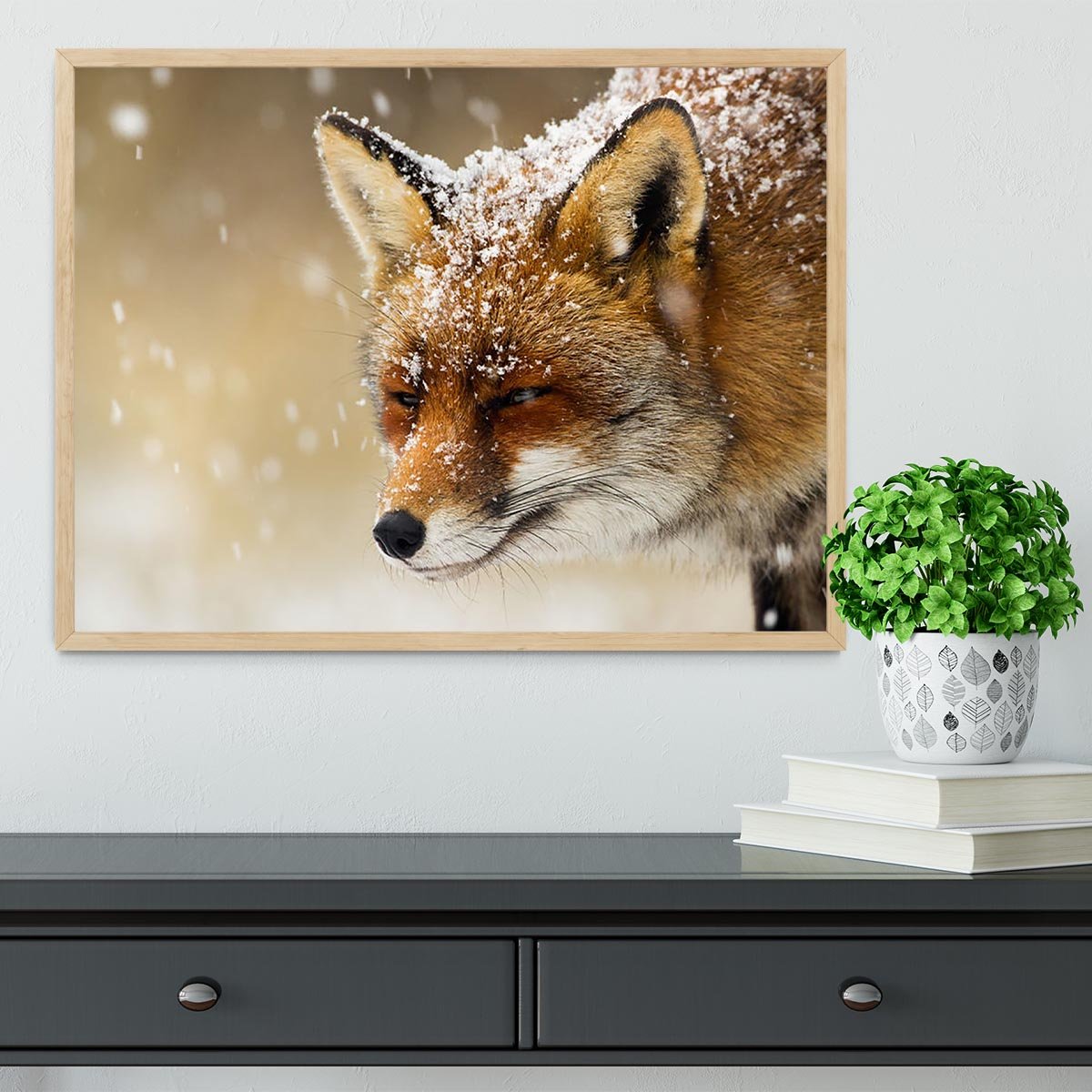 Red fox winter portrait Framed Print - Canvas Art Rocks - 4