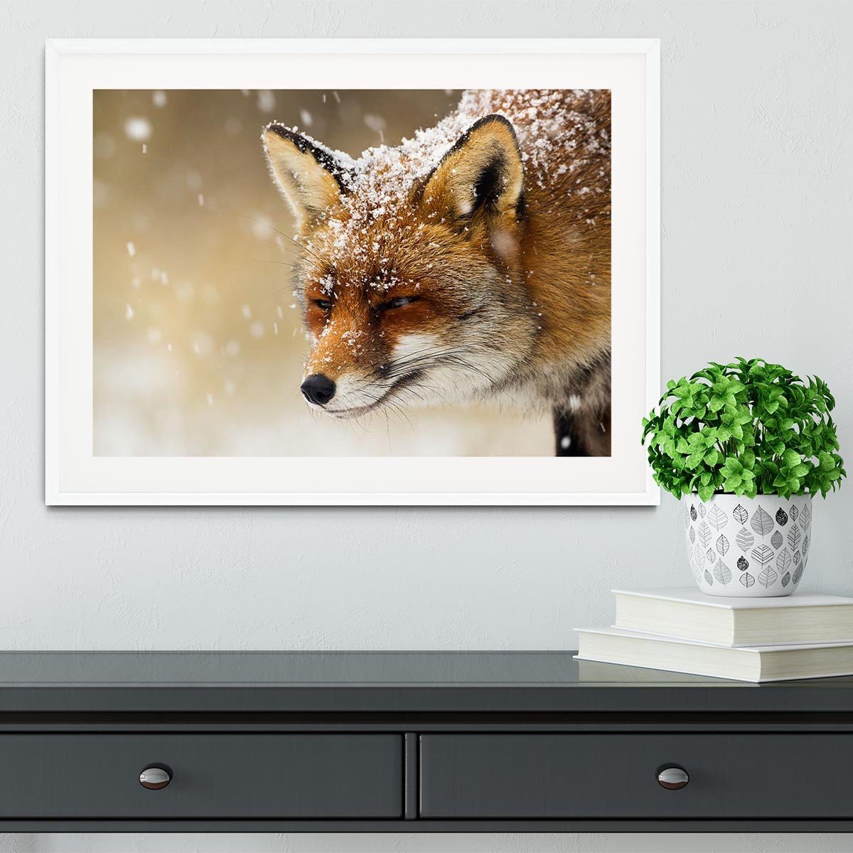 Red fox winter portrait Framed Print - Canvas Art Rocks - 5
