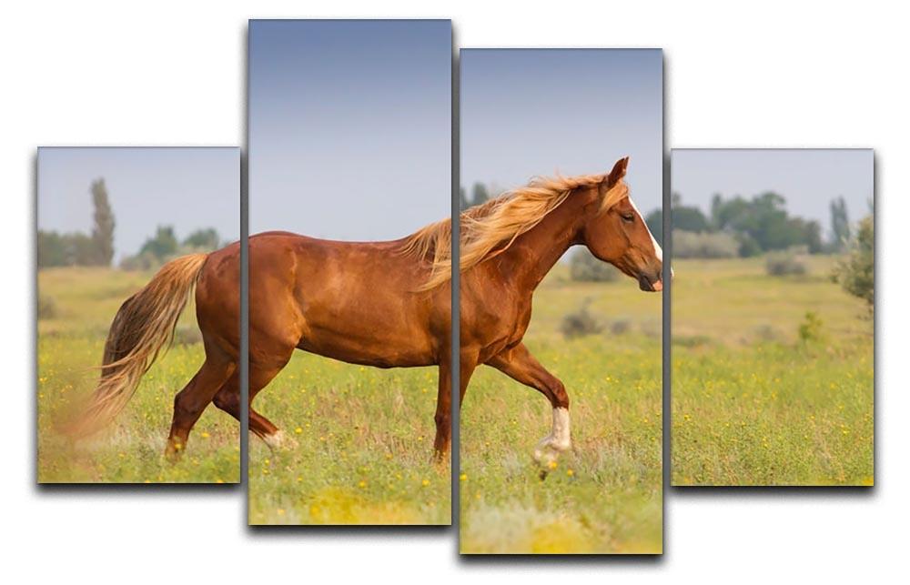 Red horse with long mane 4 Split Panel Canvas - Canvas Art Rocks - 1