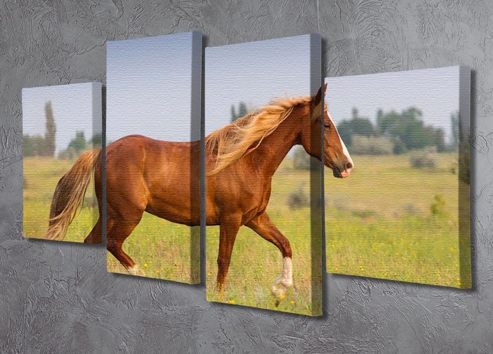 Red horse with long mane 4 Split Panel Canvas - Canvas Art Rocks - 2