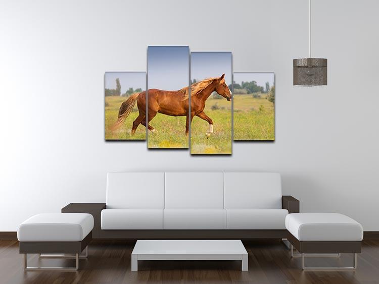 Red horse with long mane 4 Split Panel Canvas - Canvas Art Rocks - 3