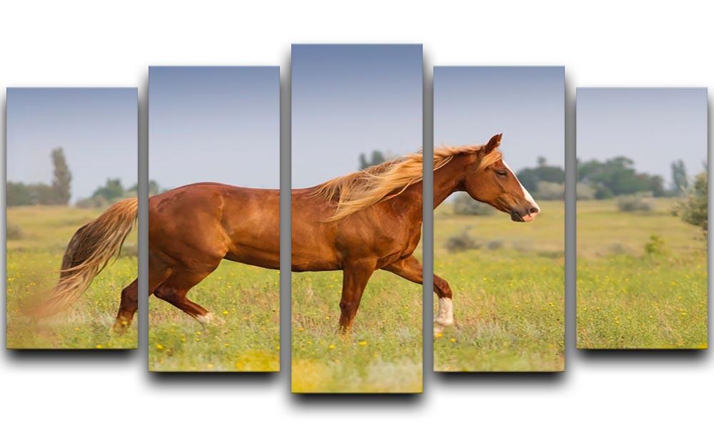 Red horse with long mane 5 Split Panel Canvas - Canvas Art Rocks - 1