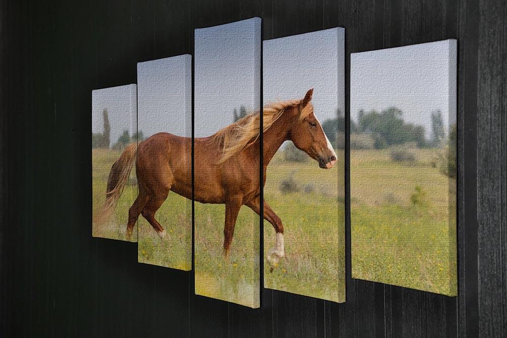 Red horse with long mane 5 Split Panel Canvas - Canvas Art Rocks - 2