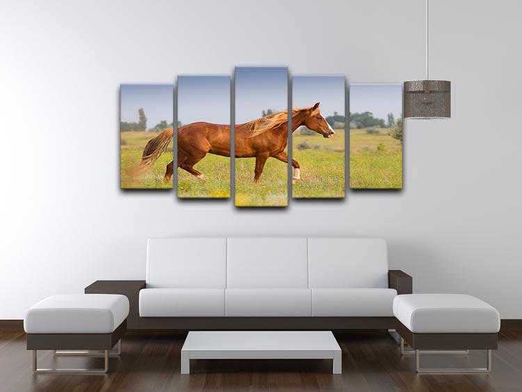 Red horse with long mane 5 Split Panel Canvas - Canvas Art Rocks - 3