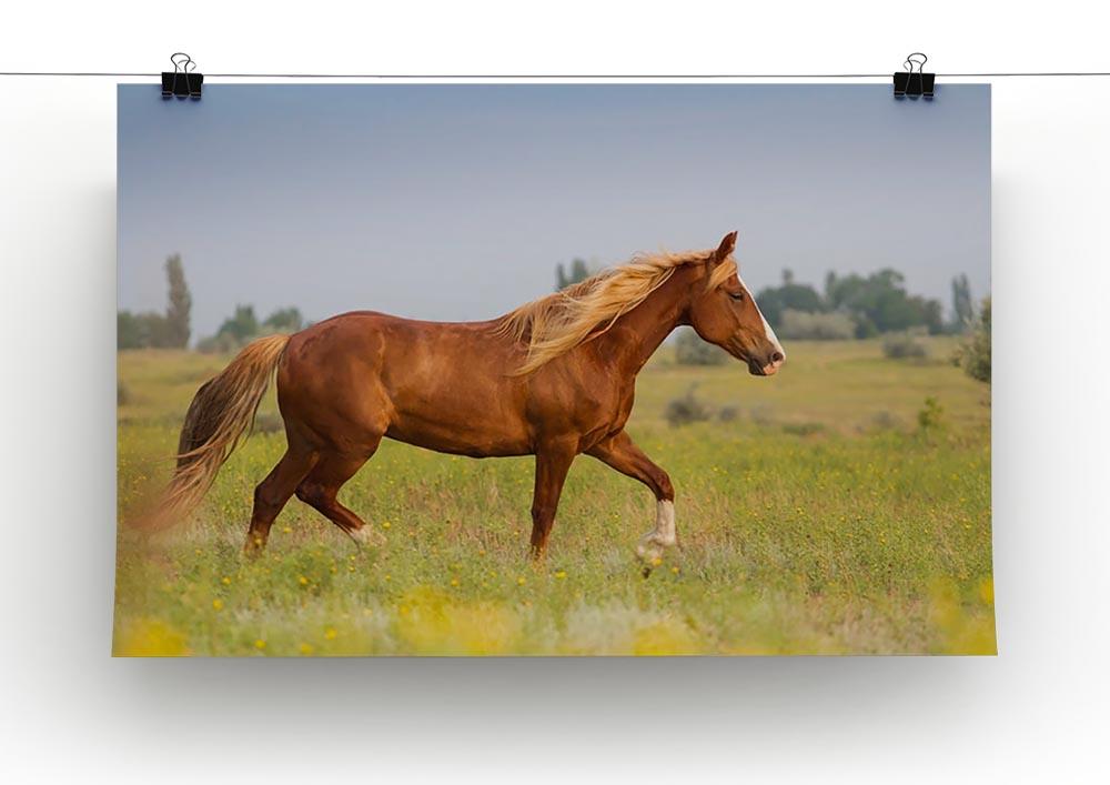 Red horse with long mane Canvas Print or Poster - Canvas Art Rocks - 2