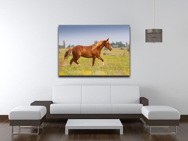 Red horse with long mane Canvas Print or Poster - Canvas Art Rocks - 4