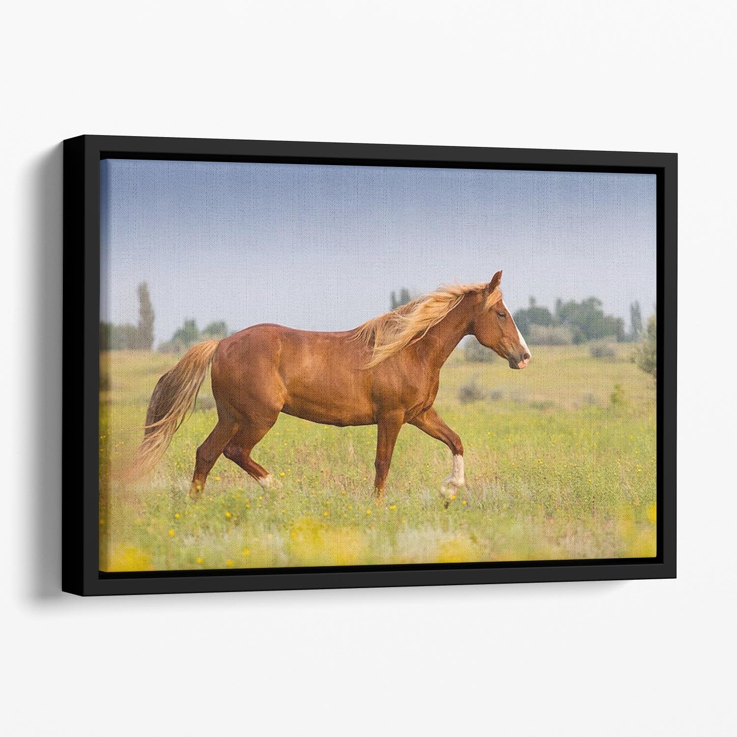 Red horse with long mane Floating Framed Canvas - Canvas Art Rocks - 1