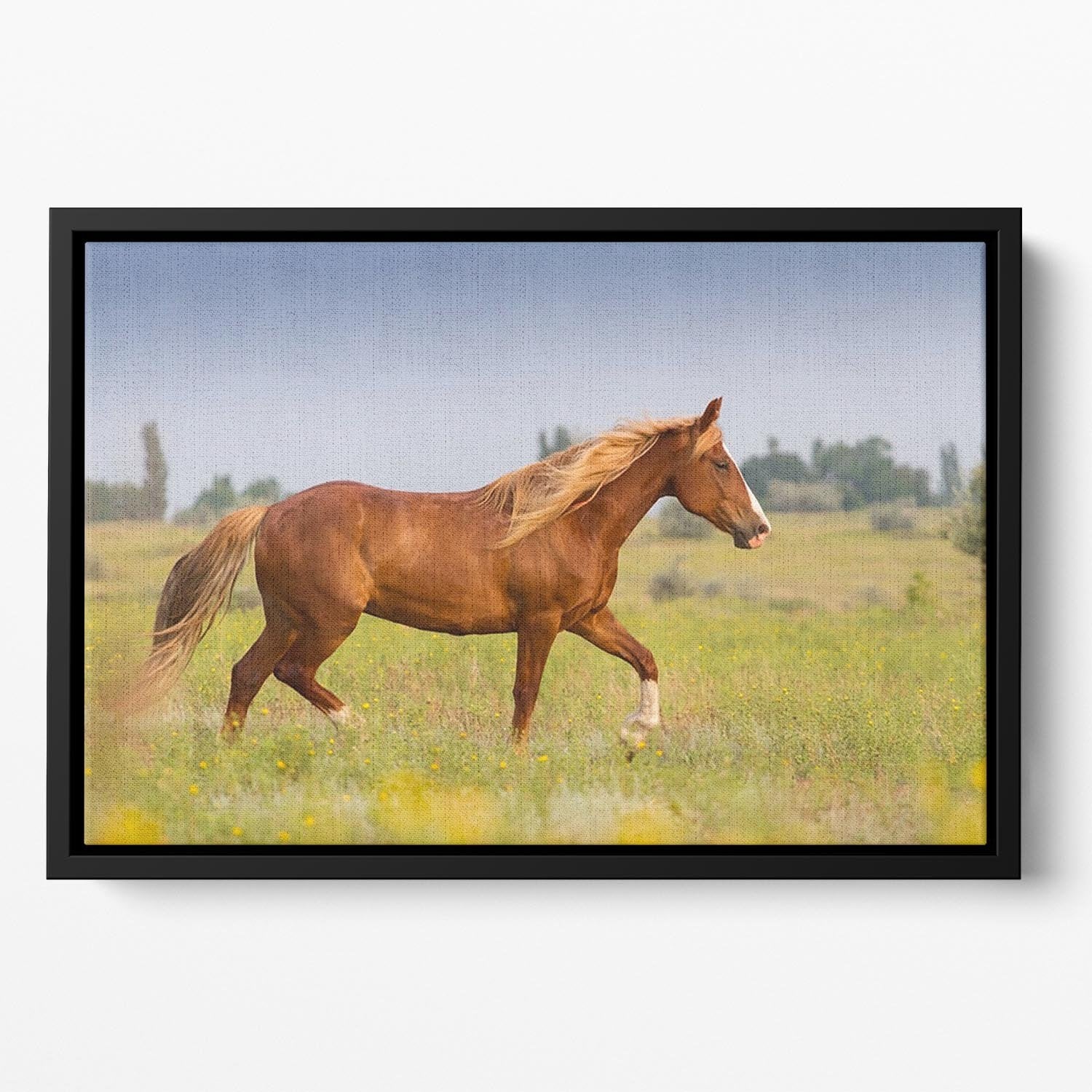 Red horse with long mane Floating Framed Canvas - Canvas Art Rocks - 2