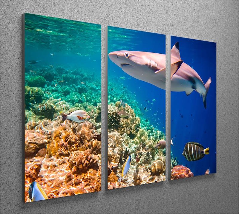 Reef with a variety of hard and soft corals and shark 3 Split Panel Canvas Print - Canvas Art Rocks - 2