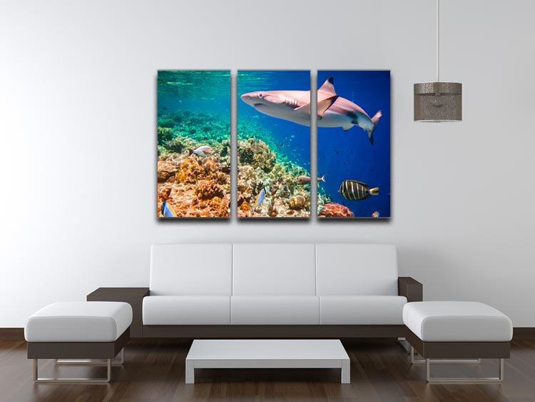Reef with a variety of hard and soft corals and shark 3 Split Panel Canvas Print - Canvas Art Rocks - 3