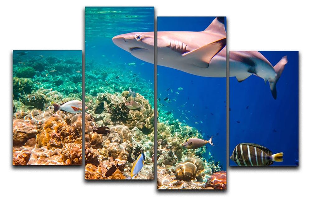 Reef with a variety of hard and soft corals and shark 4 Split Panel Canvas - Canvas Art Rocks - 1