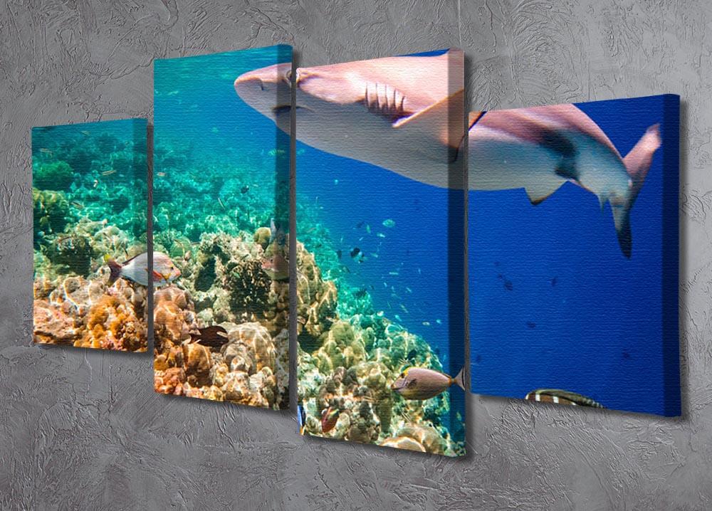Reef with a variety of hard and soft corals and shark 4 Split Panel Canvas - Canvas Art Rocks - 2