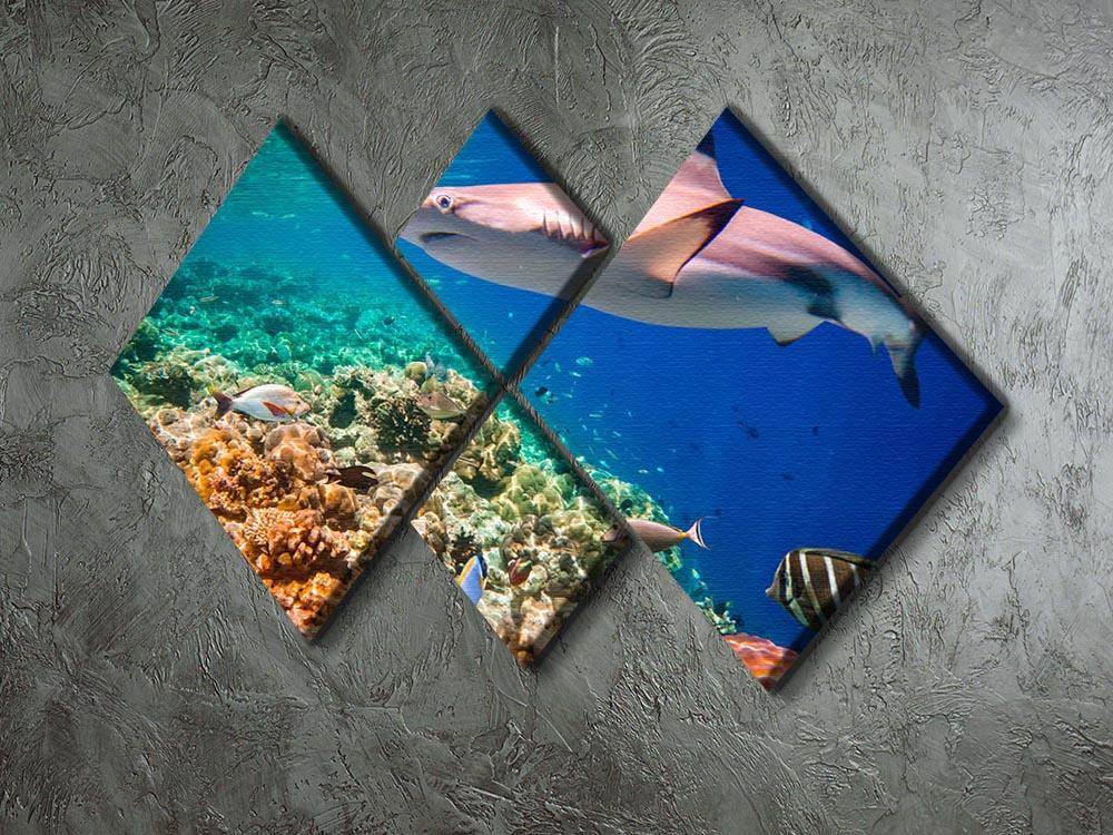 Reef with a variety of hard and soft corals and shark 4 Square Multi Panel Canvas - Canvas Art Rocks - 2