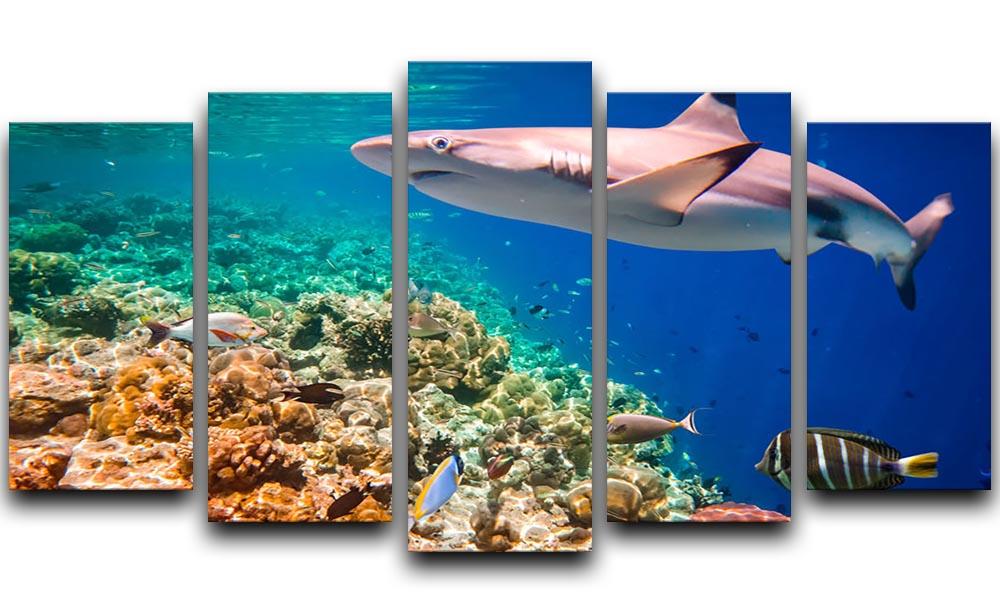 Reef with a variety of hard and soft corals and shark 5 Split Panel Canvas - Canvas Art Rocks - 1