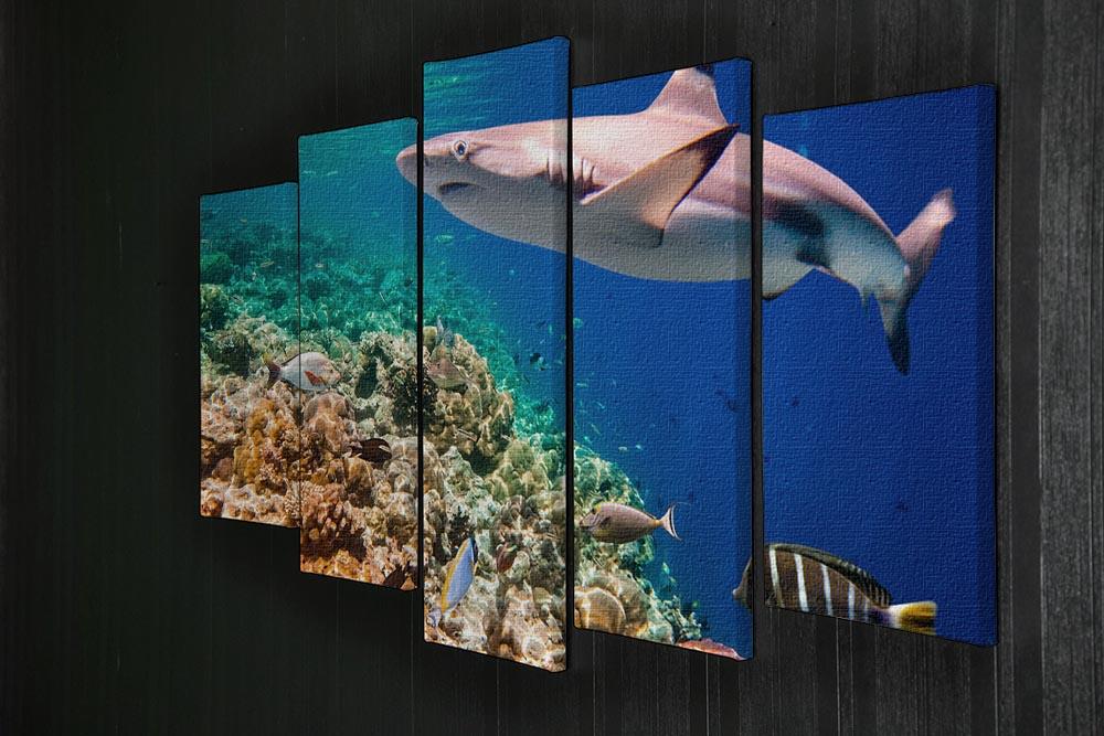 Reef with a variety of hard and soft corals and shark 5 Split Panel Canvas - Canvas Art Rocks - 2