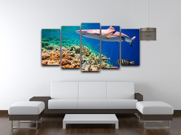 Reef with a variety of hard and soft corals and shark 5 Split Panel Canvas - Canvas Art Rocks - 3
