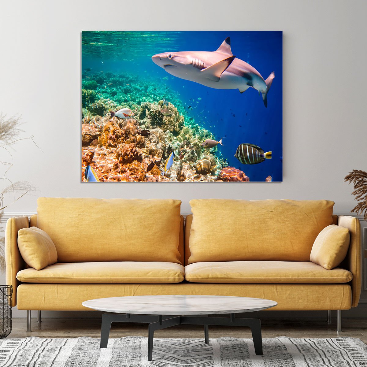 Reef with a variety of hard and soft corals and shark Canvas Print or Poster