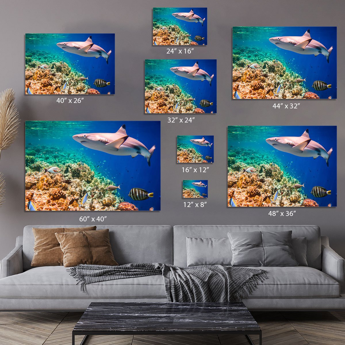 Reef with a variety of hard and soft corals and shark Canvas Print or Poster