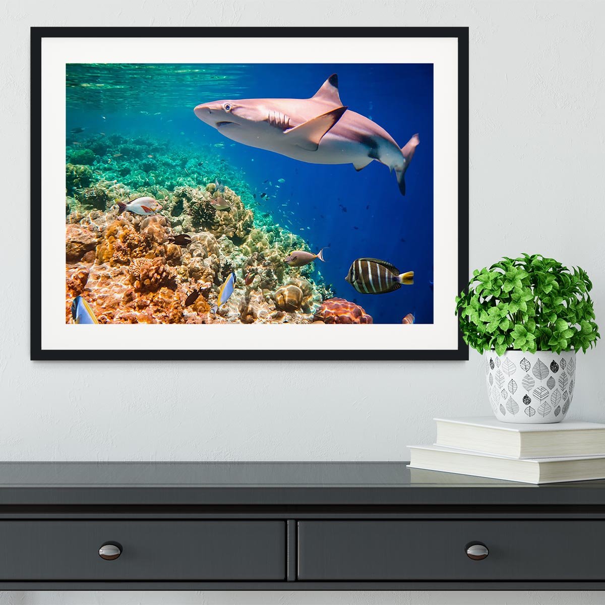 Reef with a variety of hard and soft corals and shark Framed Print - Canvas Art Rocks - 1