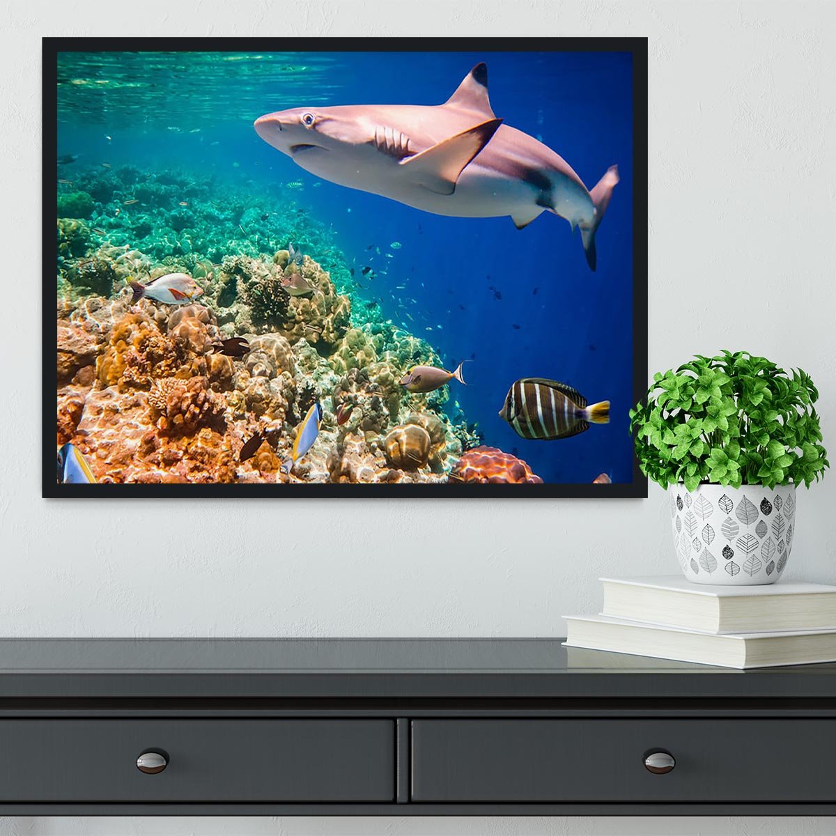 Reef with a variety of hard and soft corals and shark Framed Print - Canvas Art Rocks - 2