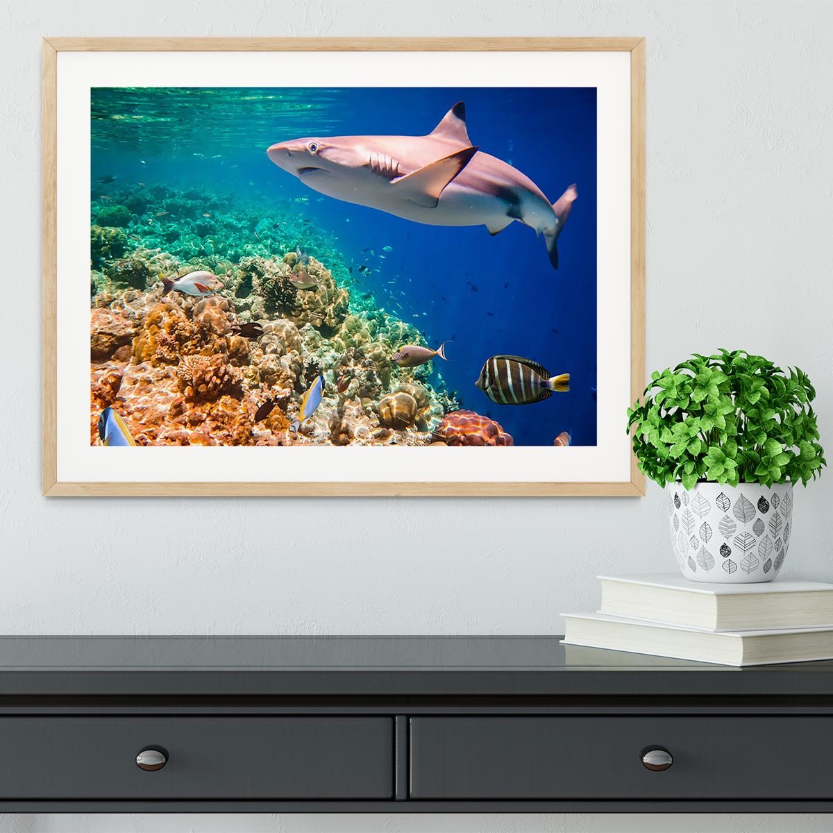 Reef with a variety of hard and soft corals and shark Framed Print - Canvas Art Rocks - 3