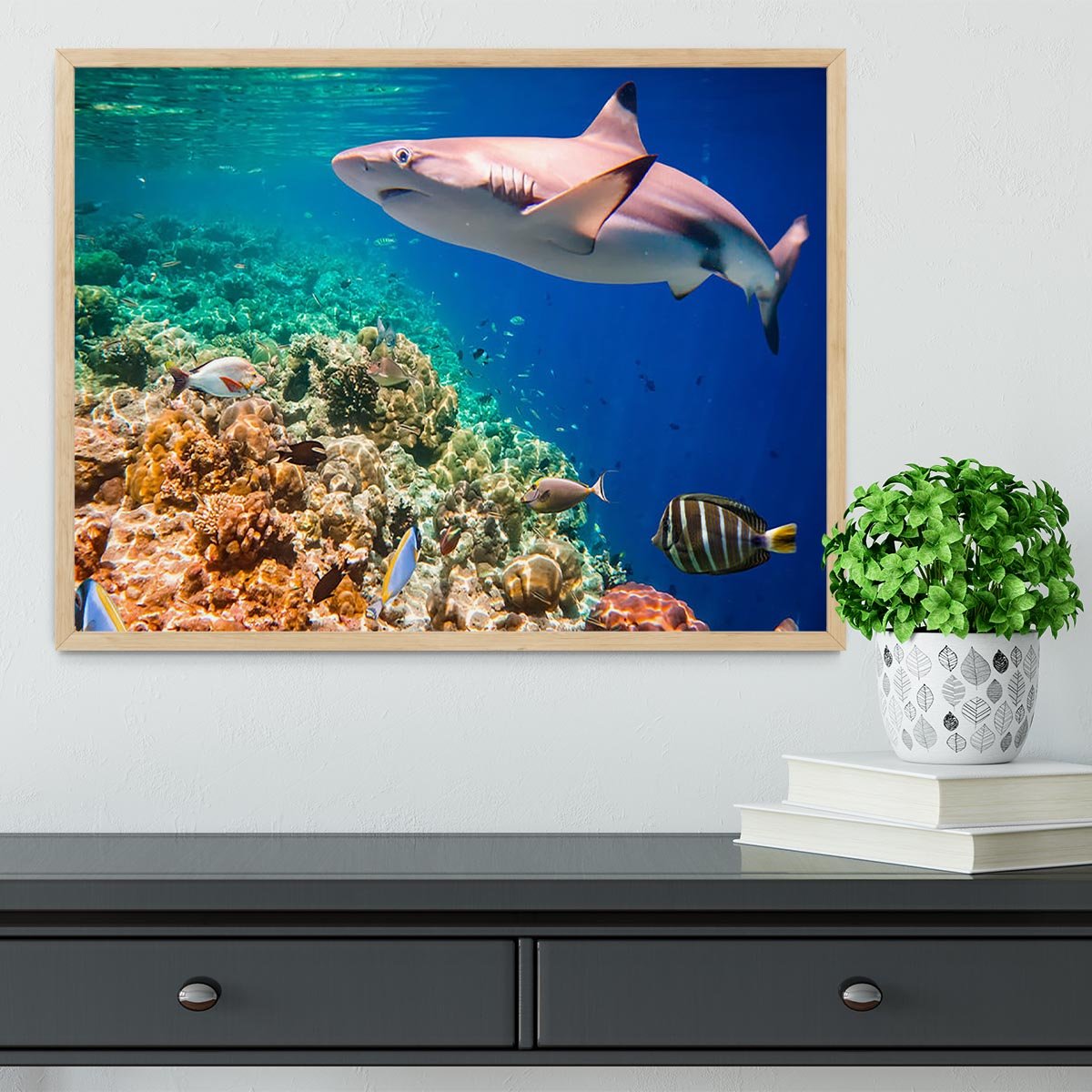 Reef with a variety of hard and soft corals and shark Framed Print - Canvas Art Rocks - 4
