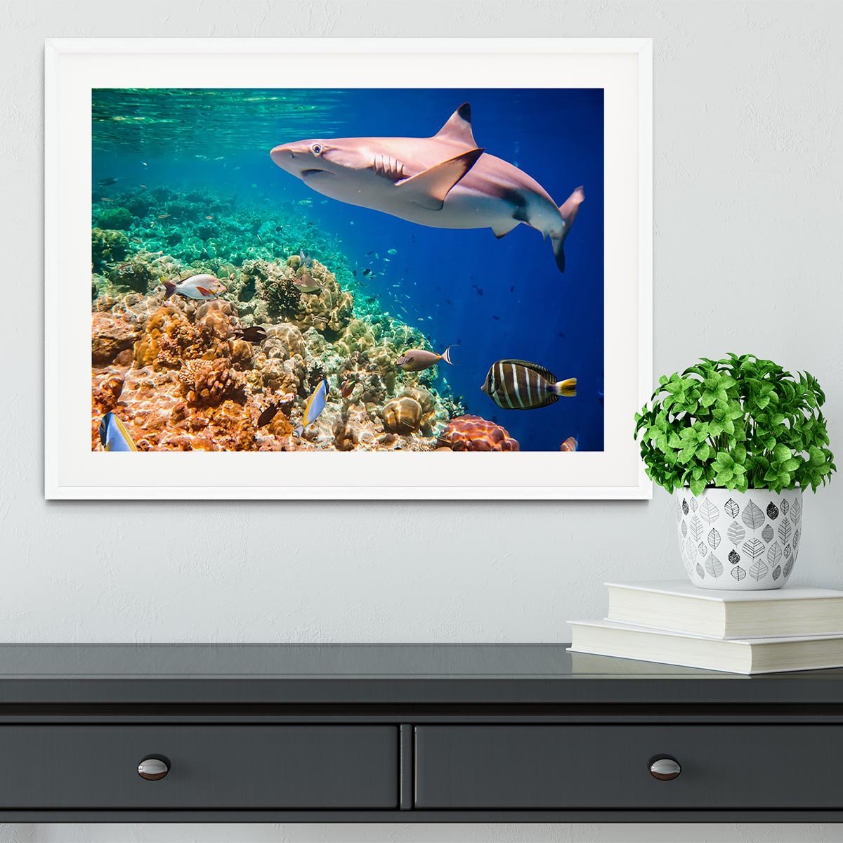 Reef with a variety of hard and soft corals and shark Framed Print - Canvas Art Rocks - 5