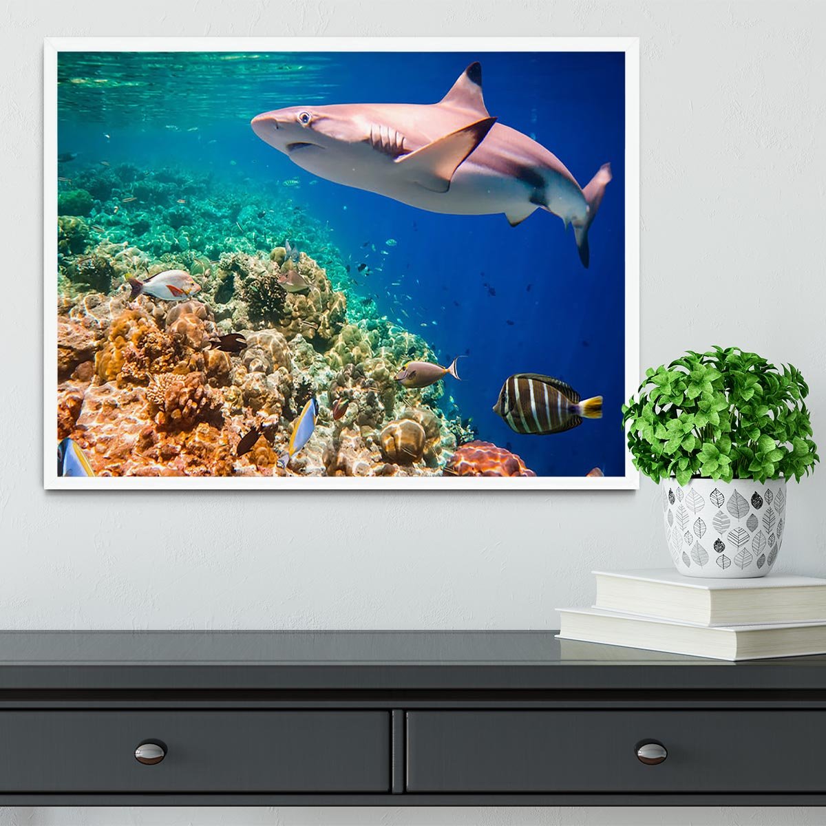 Reef with a variety of hard and soft corals and shark Framed Print - Canvas Art Rocks -6