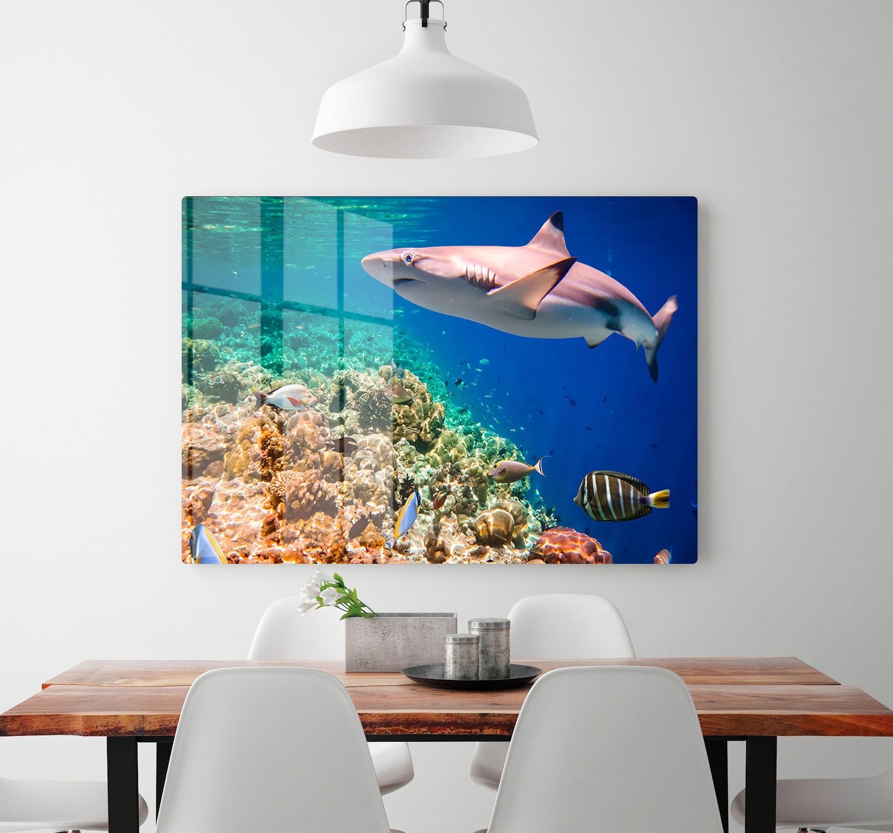 Reef with a variety of hard and soft corals and shark HD Metal Print - Canvas Art Rocks - 2