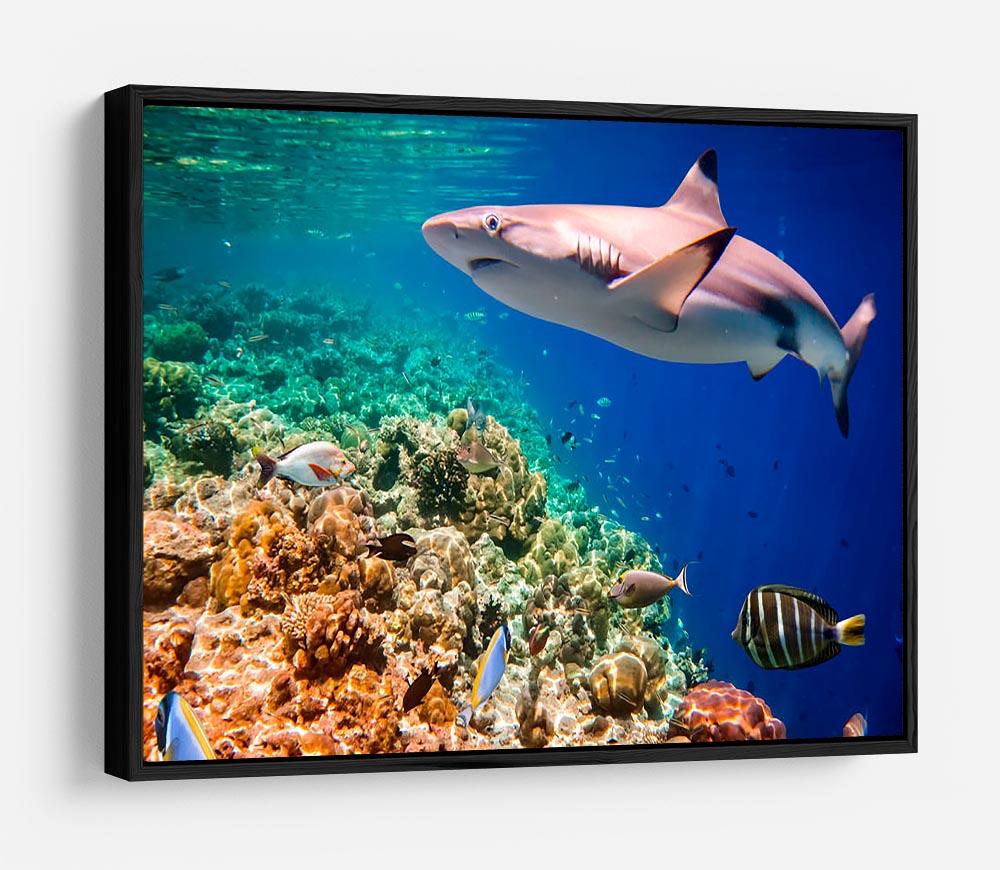 Reef with a variety of hard and soft corals and shark HD Metal Print - Canvas Art Rocks - 6