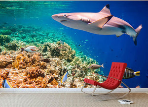 Reef with a variety of hard and soft corals and shark Wall Mural Wallpaper - Canvas Art Rocks - 2