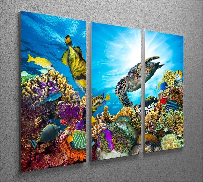 Reef with many fishes and sea turtle 3 Split Panel Canvas Print - Canvas Art Rocks - 2