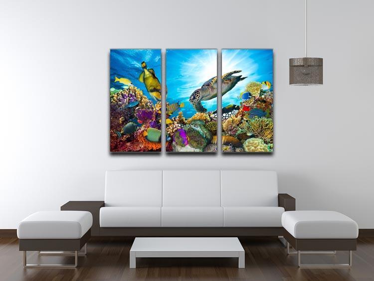 Reef with many fishes and sea turtle 3 Split Panel Canvas Print - Canvas Art Rocks - 3