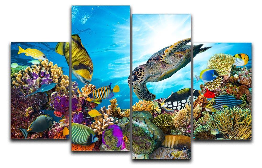 Reef with many fishes and sea turtle 4 Split Panel Canvas  - Canvas Art Rocks - 1