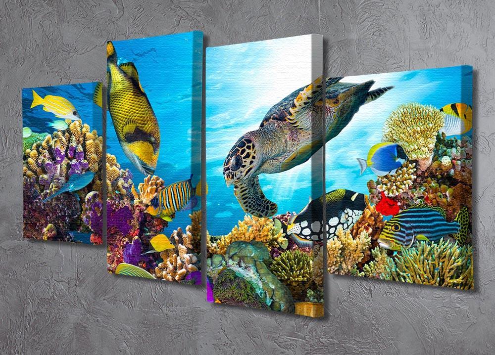 Reef with many fishes and sea turtle 4 Split Panel Canvas  - Canvas Art Rocks - 2