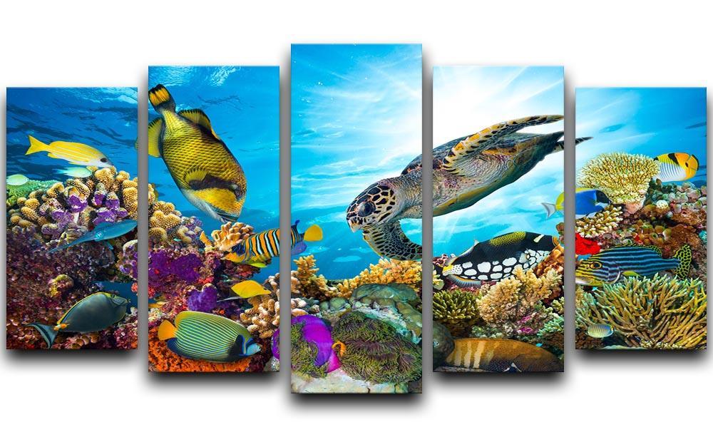 Reef with many fishes and sea turtle 5 Split Panel Canvas  - Canvas Art Rocks - 1