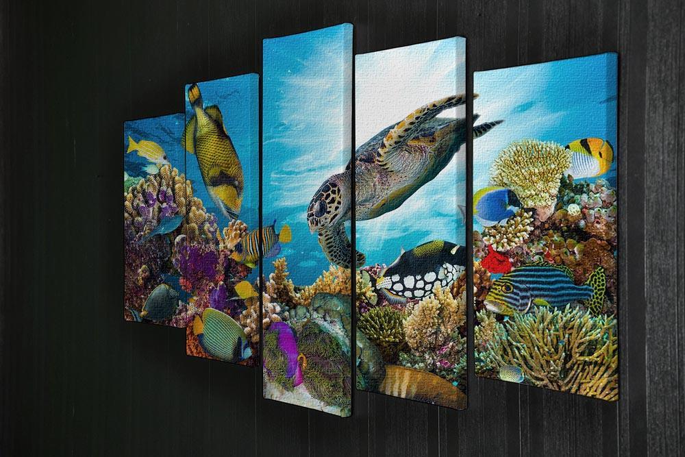 Reef with many fishes and sea turtle 5 Split Panel Canvas  - Canvas Art Rocks - 2