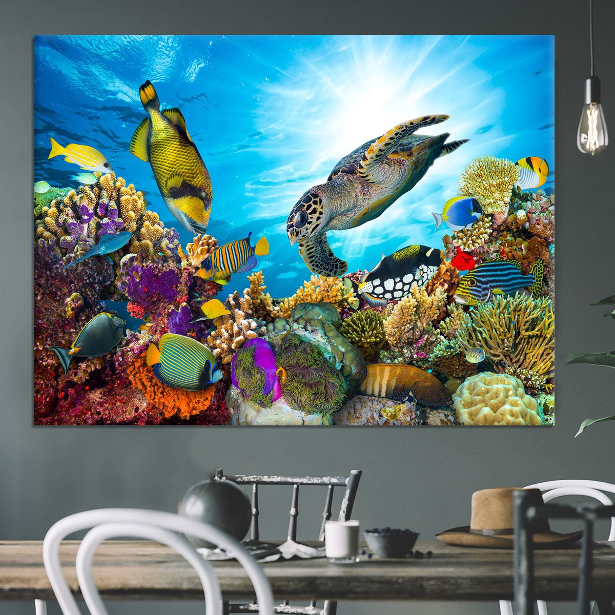 Reef with many fishes and sea turtle Canvas Print or Poster