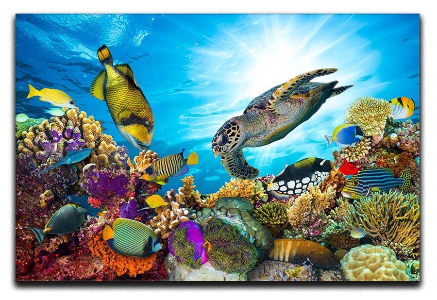 Reef with many fishes and sea turtle Canvas Print or Poster  - Canvas Art Rocks - 1