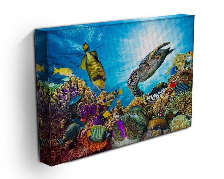 Reef with many fishes and sea turtle Canvas Print or Poster - Canvas Art Rocks - 3