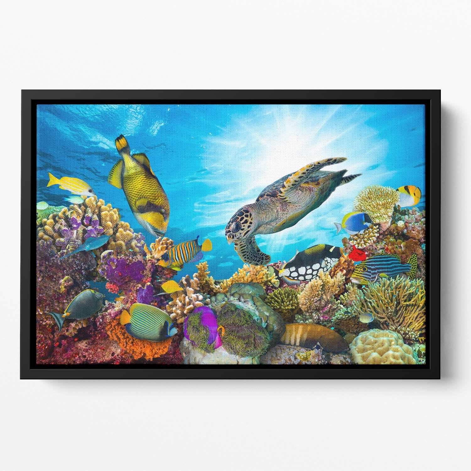 Reef with many fishes and sea turtle Floating Framed Canvas
