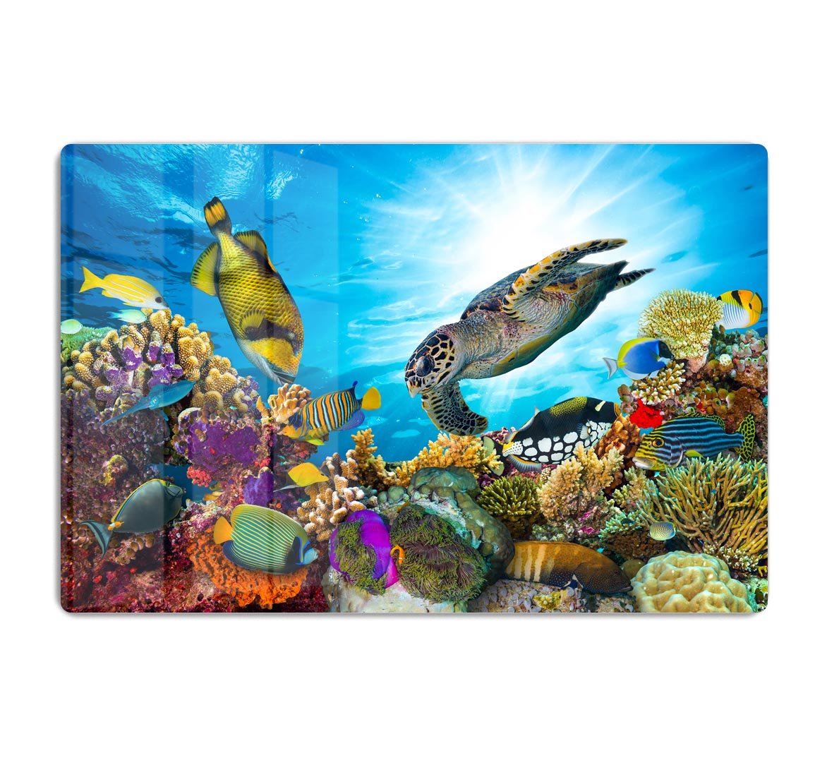 Reef with many fishes and sea turtle HD Metal Print