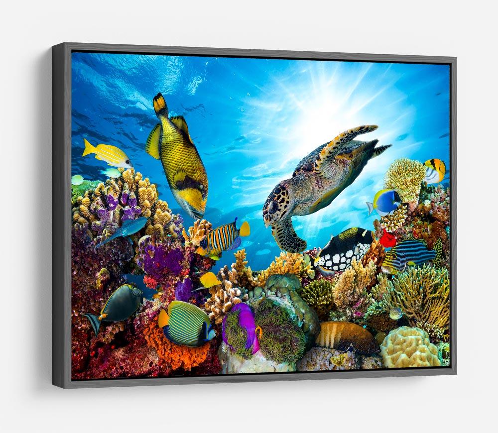 Reef with many fishes and sea turtle HD Metal Print
