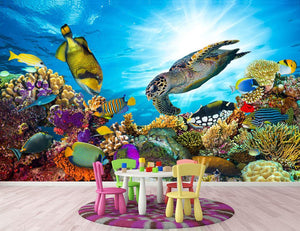 Reef with many fishes and sea turtle Wall Mural Wallpaper - Canvas Art Rocks - 2